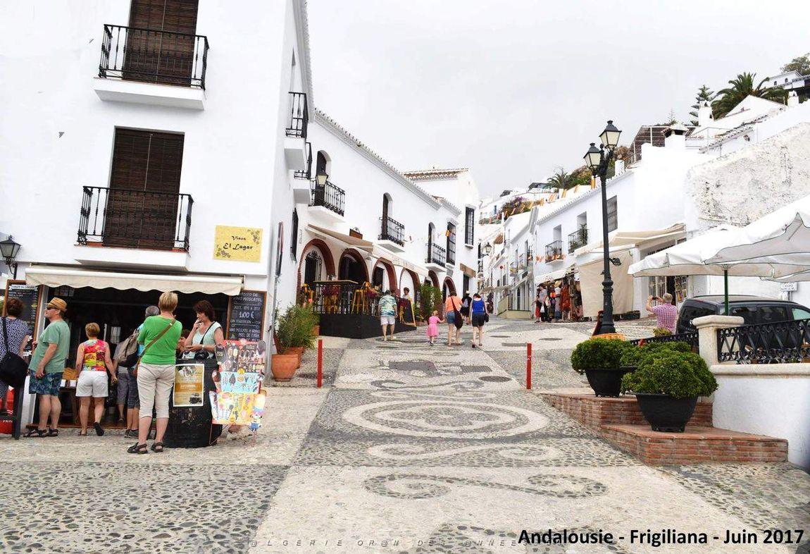541 - Frigiliana.JPG
